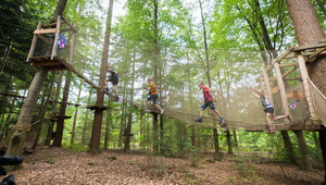 Climbing forest Veluwe